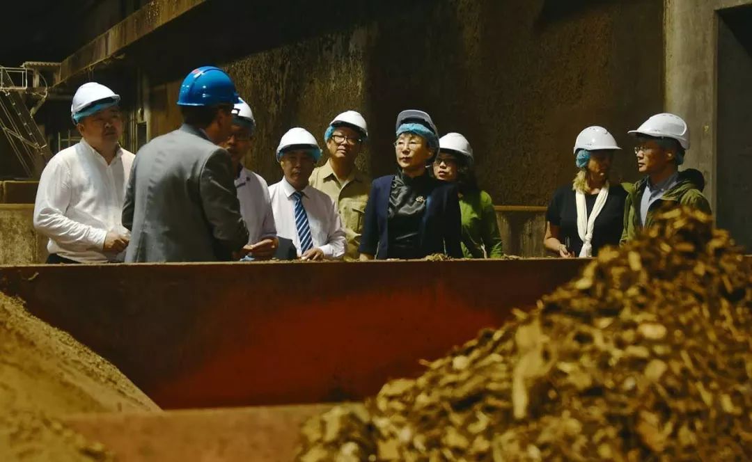 中国廊坊和荷兰皮市相遇，擦出什么样的火花？