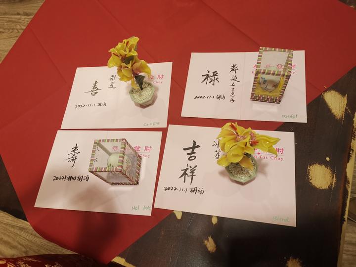 敬天下老人，扬中华美德 ——荷兰“文康之夜”晚会快乐上演