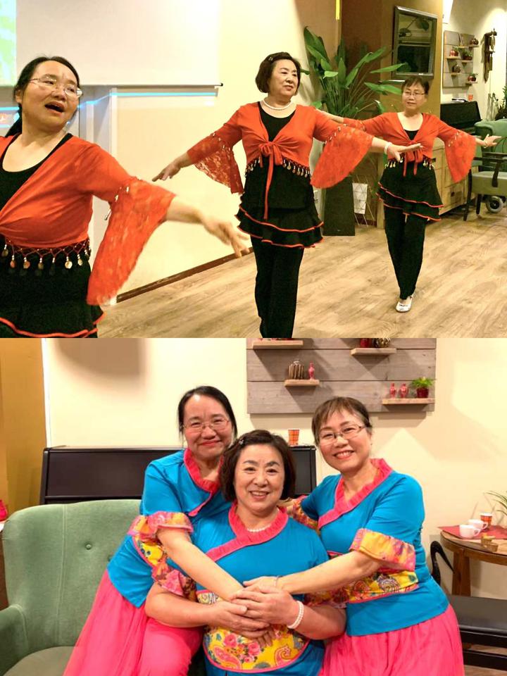 敬天下老人，扬中华美德 ——荷兰“文康之夜”晚会快乐上演