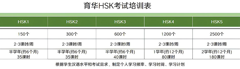 国内工作学习必备的成人HSK教材